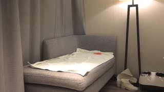重磅泄密 文轩探花-苗条温柔的小姐姐太惹人爱换上丝袜惹人干