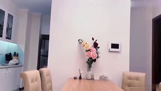 清新性感少女极品艺校舞蹈系学妹