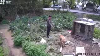 【监控破解】如果不是亲眼所见我是万万不能相信
