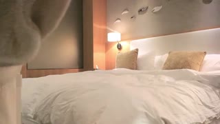 《探花精选》约网红小姐姐，美乳白臀，骚气冲天，妖娆骚逼