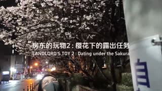 肛塞肉丝少女户外露出酒店后入内射到抽搐