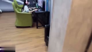 推荐网瘾萝莉以性换租