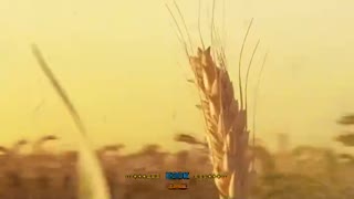 经典色情-中-玉蒲团之玉女心经