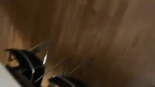 培训机构前台做爱自拍趁着教室没人和前台舔鸡巴做爱